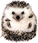 Makedon1